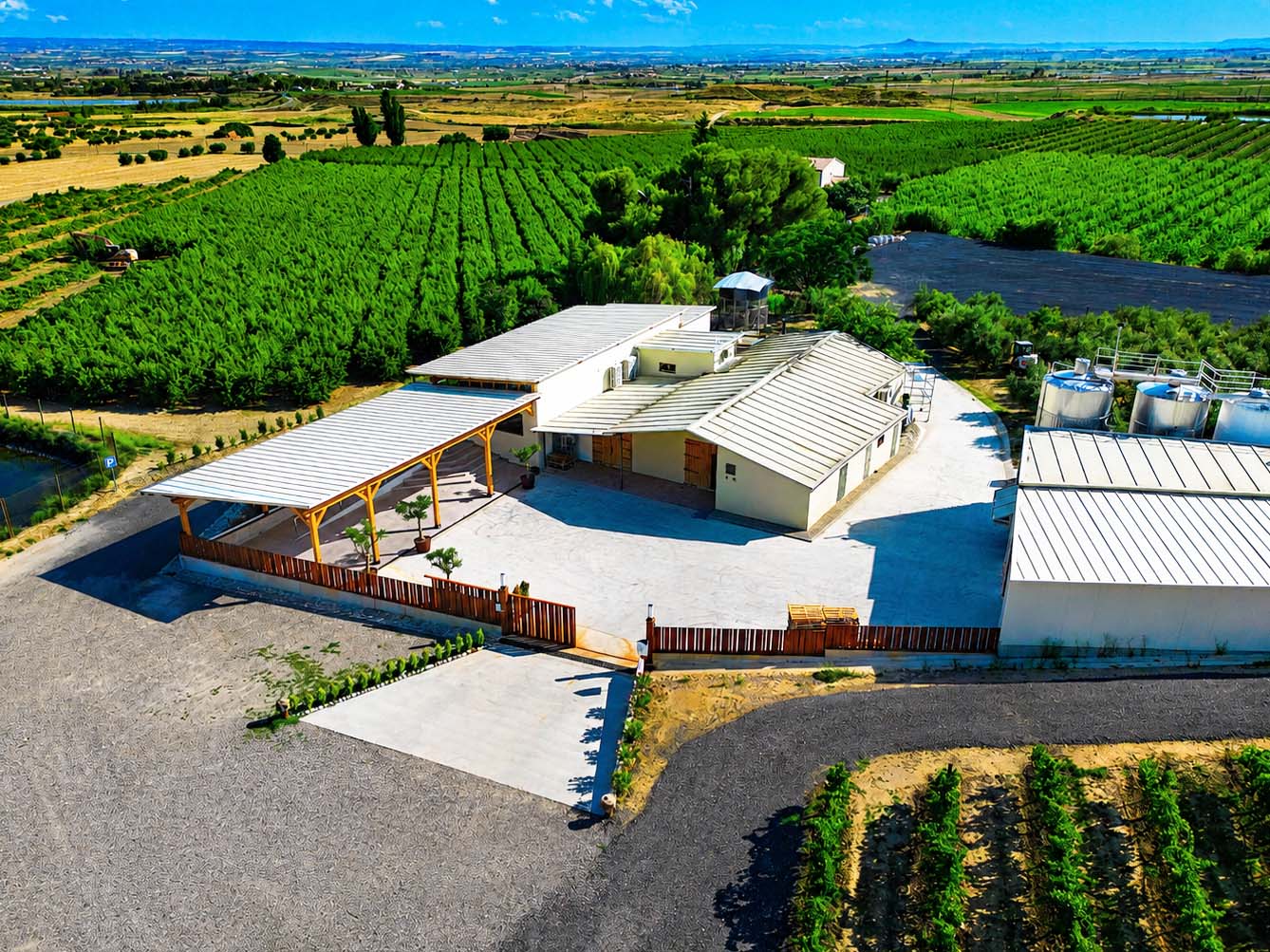 Bodega de Sanui Lleida
